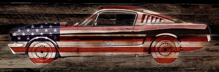 Picture of UNITED MUSCLE 1