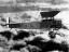 Picture of AERIAL MANEUVERS 1