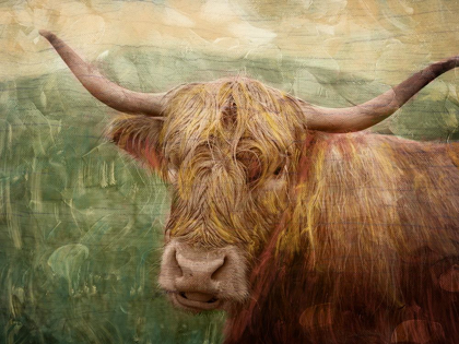 Picture of HAIRY BULL
