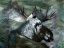 Picture of SPIRIT MOOSE 1