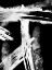 Picture of REVERSED SEAMS 1