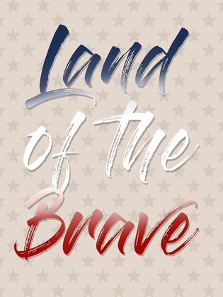 Picture of LAND OF THE BRAVE