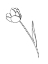 Picture of PAPER TULIP 1