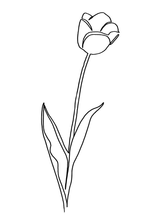 Picture of PAPER TULIP 2