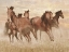 Picture of RUNNING FREE 1
