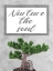 Picture of SOUL NURTURING