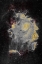 Picture of LUNAR NEBULA