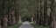 Picture of FREEDOM ROAD