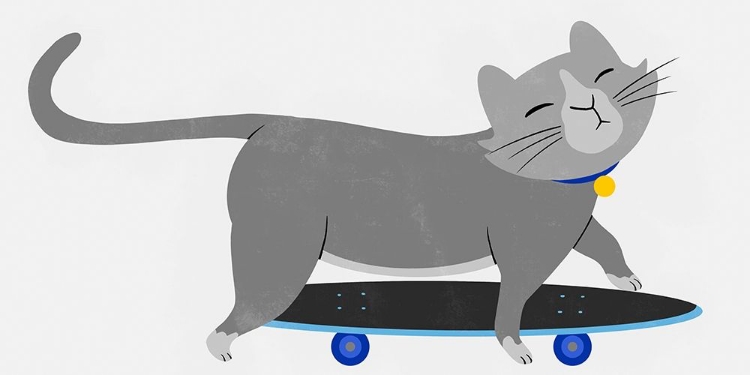 Picture of SKATEBOARDING CAT