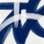 Picture of INDIGO STATEMENTS 2