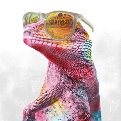 Picture of COOL GECKO 1