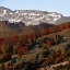 Picture of ROLLING AUTUMN HILLS