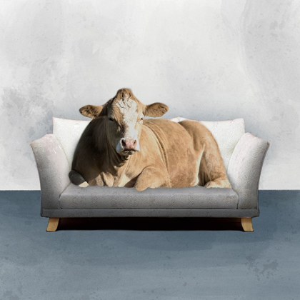 Picture of LOUNGE COW
