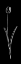 Picture of SIMPLE BLACK FLOWER 2