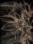 Picture of MUTED GOLDEN ABSTRACT FLORAL MATE