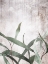 Picture of WASHED LEAVES