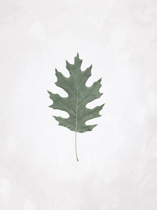 Picture of WASHED SIMPLE LEAF