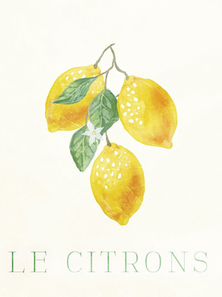 Picture of CLEAN LE CITRONS