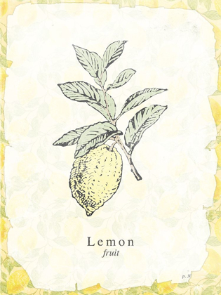 Picture of LEMON FRUIT