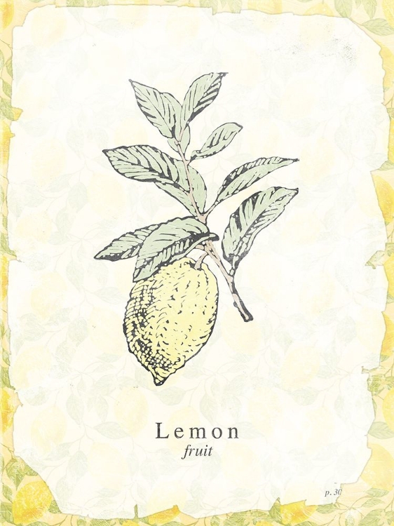 Picture of LEMON FRUIT