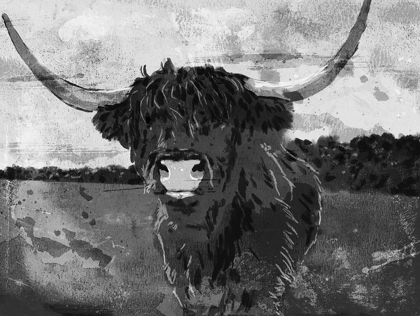 Picture of HI BULL BW