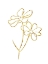 Picture of SIMPLE GOLD FLOWERS 2