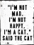 Picture of SAID THE CAT