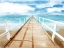 Picture of DOCKS OUT