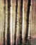 Picture of BURNT BIRCH FAMILY 2