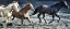 Picture of LETS GO HORSES