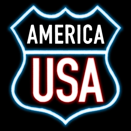 Picture of AMERICAN USA NEON