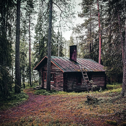 Picture of LODGE IN THE WOODS