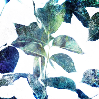 Picture of UNIVERSAL LEAVES