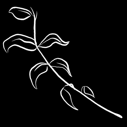 Picture of SIMPLE BLACK FLOWER 2