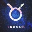 Picture of TAURUS SPACE