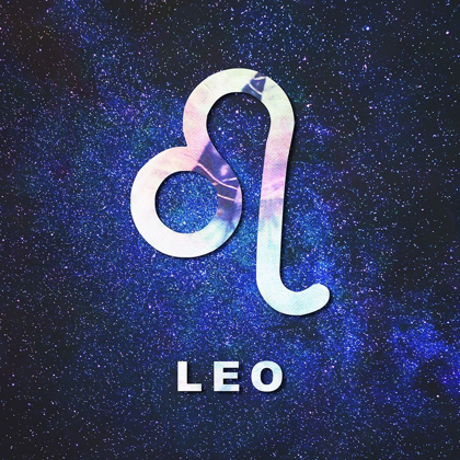 Picture of LEO SPACE