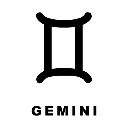 Picture of GEMINI