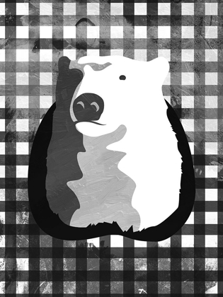 Picture of BEAR BW CHECK