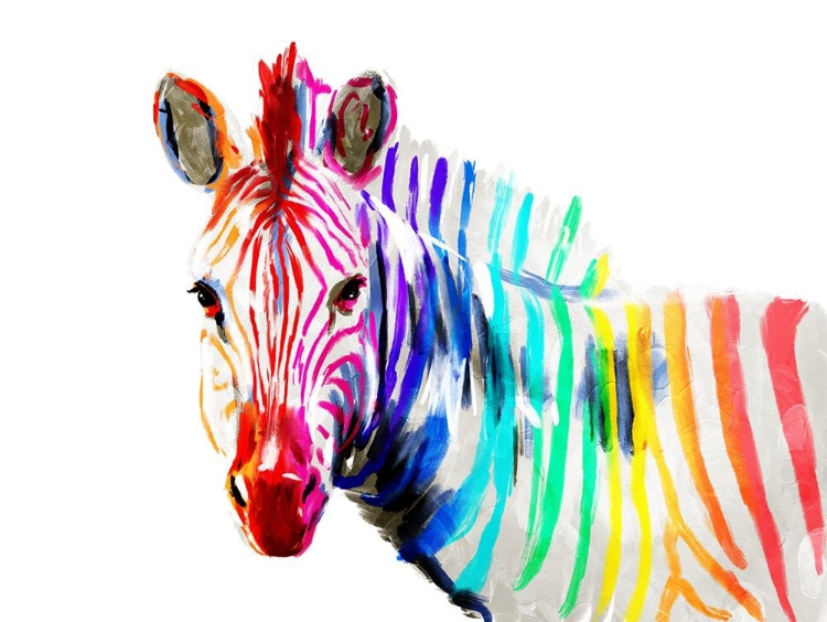 Picture of COLOFUL ZEBRA