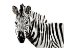 Picture of ORIGINAL ZEBRA