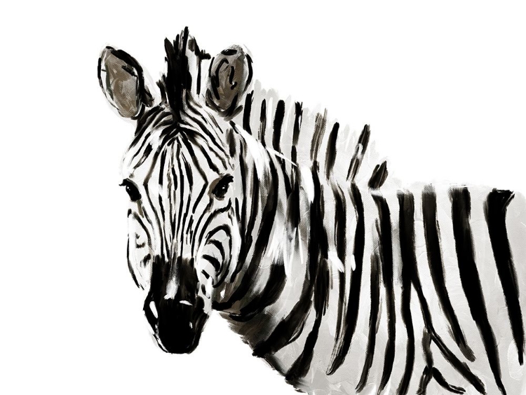 Picture of ORIGINAL ZEBRA