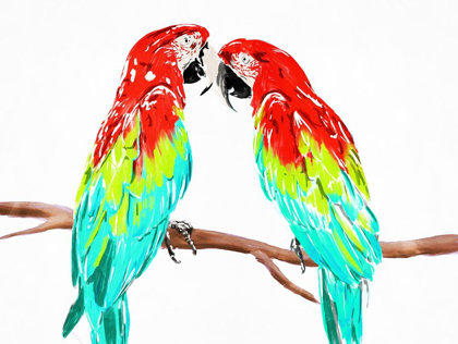 Picture of FUN PARROTS