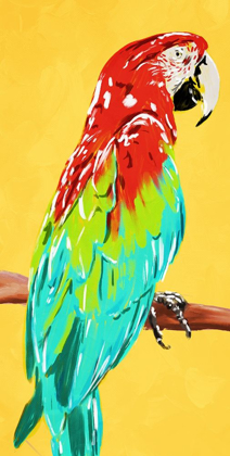 Picture of FUN PARROT 1