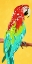 Picture of FUN PARROT 1