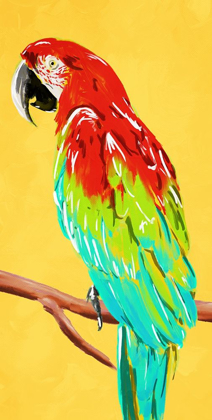 Picture of FUN PARROT 2
