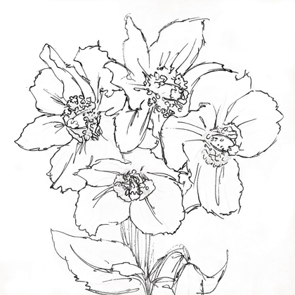 Picture of FLORAL SKETCH BW