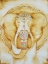 Picture of NATURAL ELEPHANT