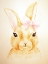 Picture of CUTE BUNNY