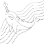 Picture of NARWHAL