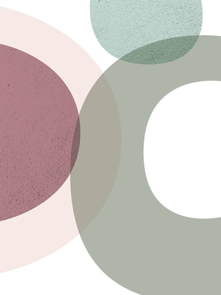 Picture of MIDCENTURY RANUNCULUS TONES 1